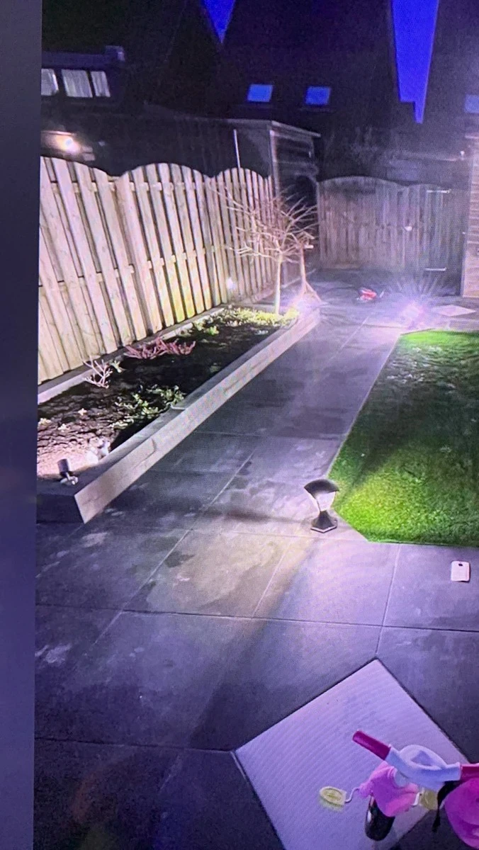 Verlichte achtertuin met strakke tuinbestrating, verhoogde border met planten en gras