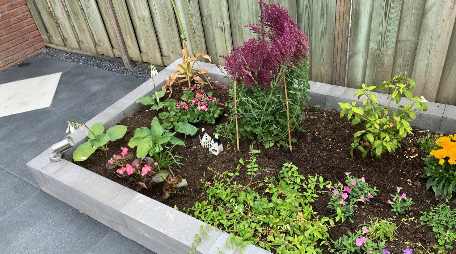 Diverse planten in een verhoogde border
