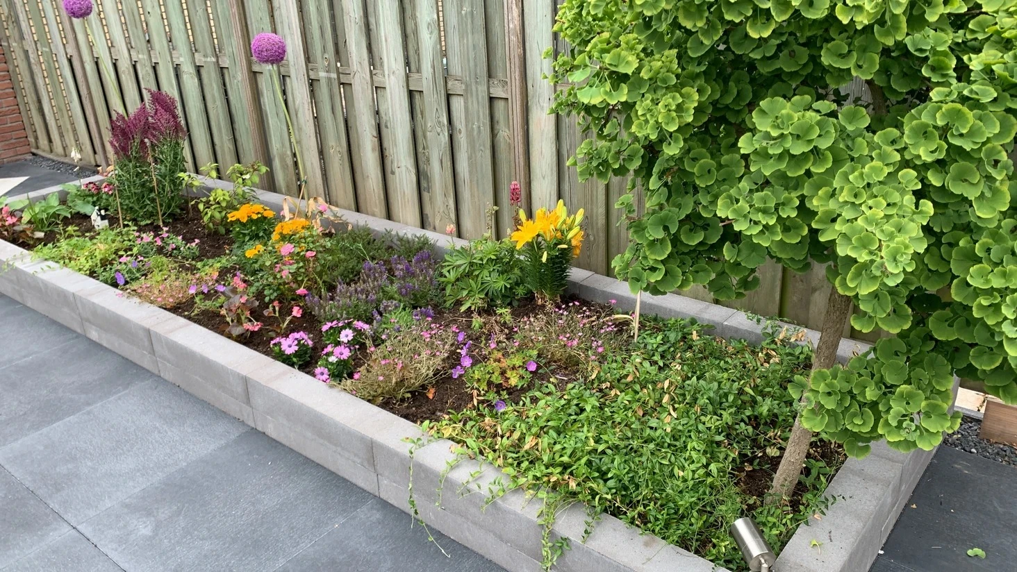 Diverse planten in een verhoogde border