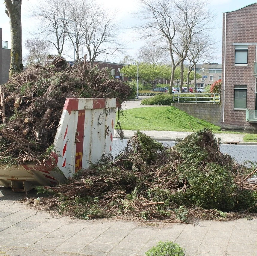 De laatste overblijfselen van de Conifeerhaag
