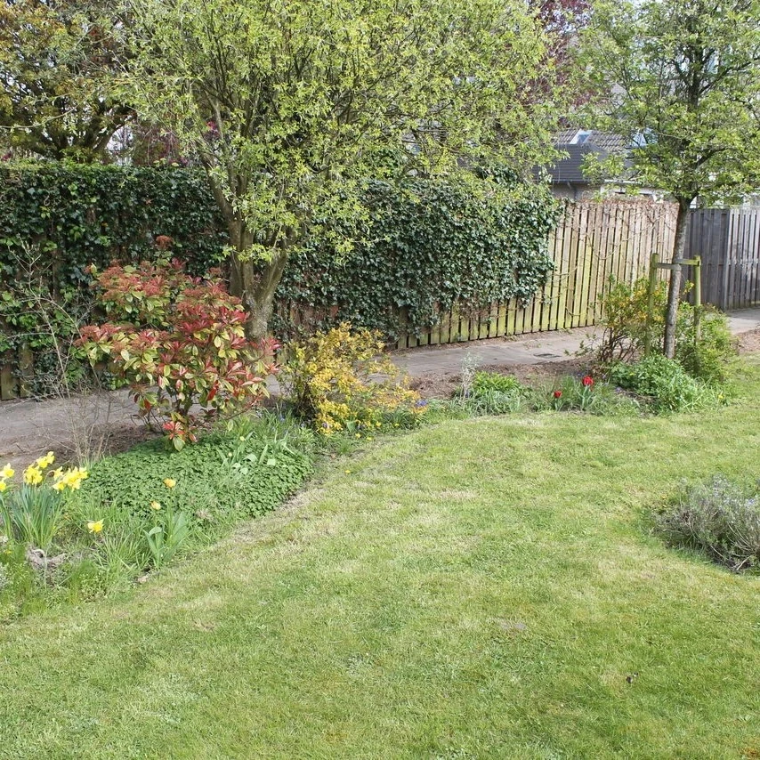 Eindresultaat: een nette, Conifeervrije tuin