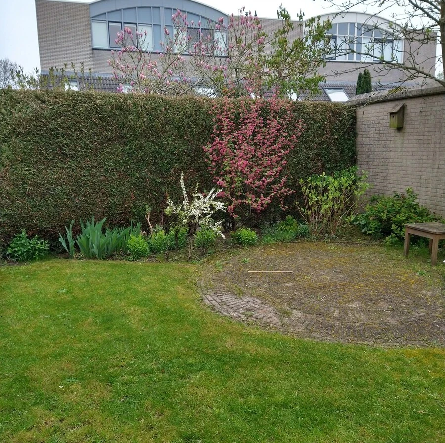 Tuin met coniferenhaag vanuit andere hoek