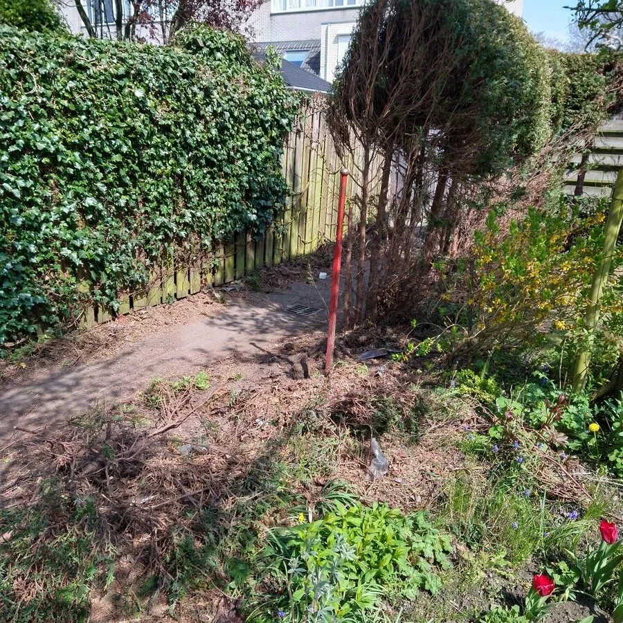 De eerste haag coniferen is gerooid
