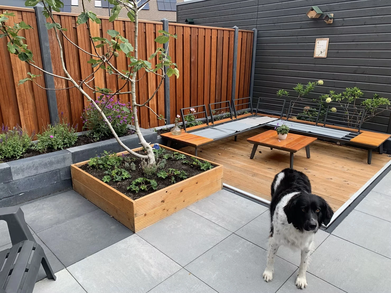 Overzichtfoto van het eindresultaat van de nieuwe tuin