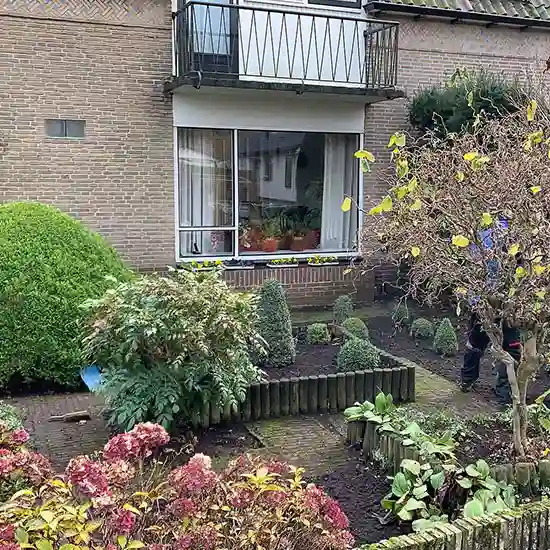 Goed onderhouden voortuin met diverse planten en bomen