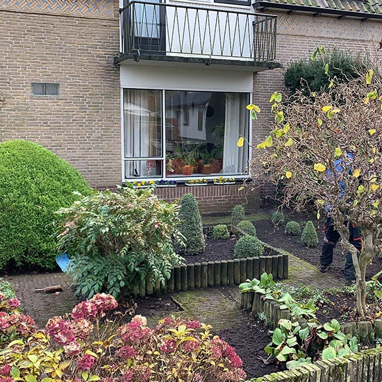 Goed onderhouden voortuin met diverse planten en bomen