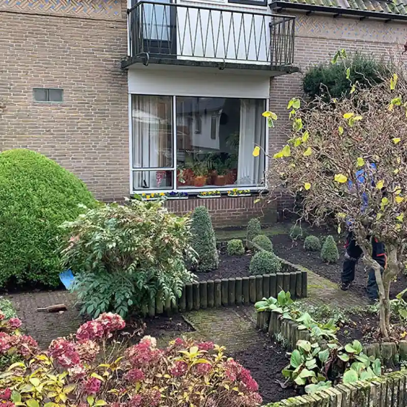 Goed onderhouden voortuin met diverse planten en bomen