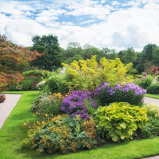 Grote kasteeltuin met kleurrijke bloemen en planten