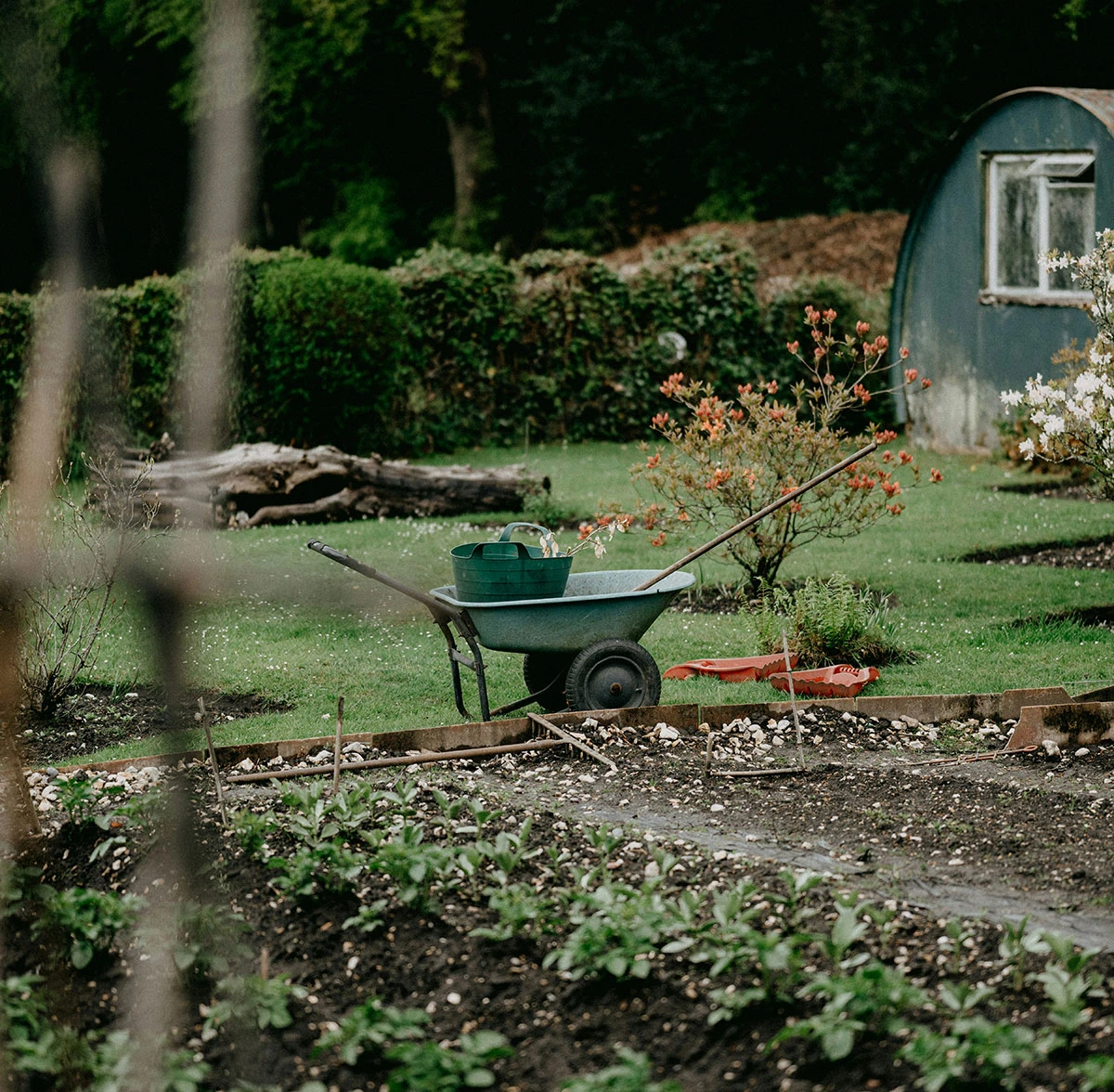 Groene kruiwagen met tuingereedschap in een landelijke tuin, omringd door planten en een tuinhuisje op de achtergrond.